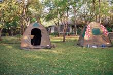 im Tarangire Nationalpark